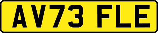 AV73FLE