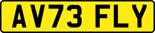 AV73FLY