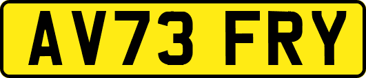 AV73FRY