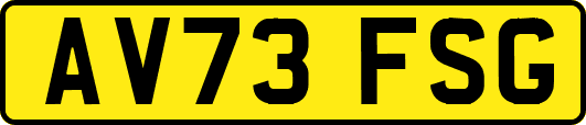 AV73FSG