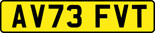 AV73FVT