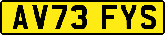 AV73FYS