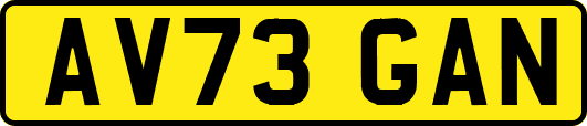 AV73GAN