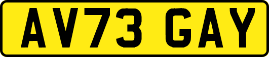 AV73GAY