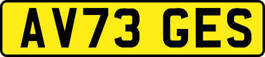 AV73GES