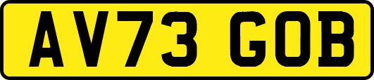 AV73GOB