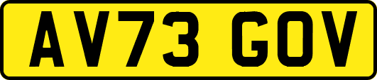 AV73GOV