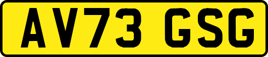 AV73GSG