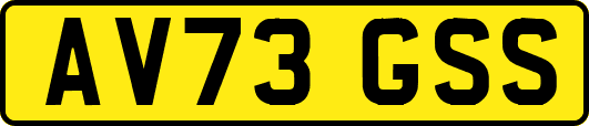 AV73GSS