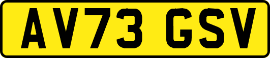AV73GSV
