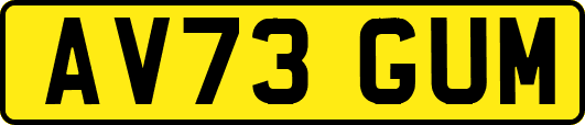 AV73GUM