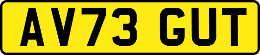 AV73GUT