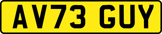 AV73GUY