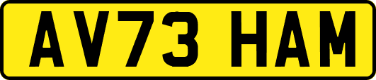 AV73HAM