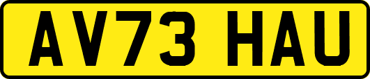 AV73HAU