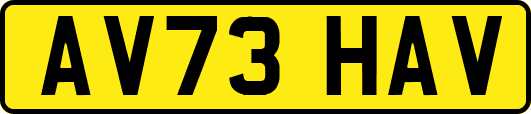 AV73HAV