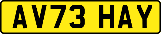 AV73HAY