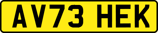 AV73HEK