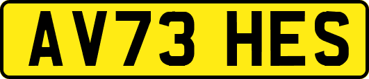 AV73HES