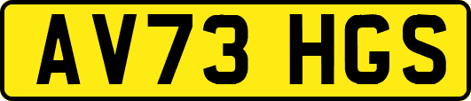 AV73HGS