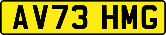 AV73HMG