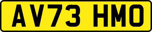 AV73HMO