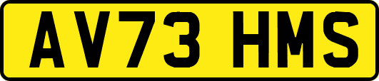 AV73HMS