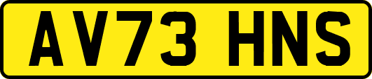 AV73HNS