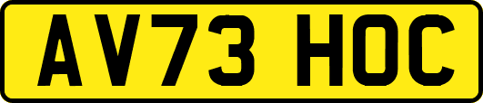 AV73HOC