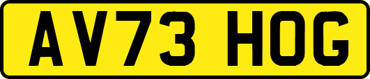 AV73HOG