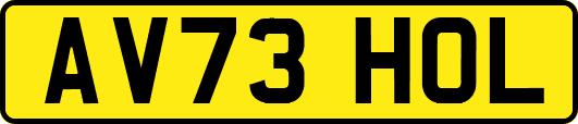 AV73HOL