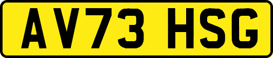 AV73HSG