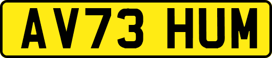 AV73HUM