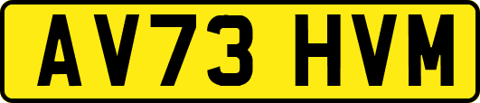 AV73HVM