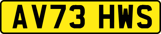 AV73HWS