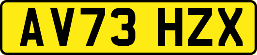 AV73HZX