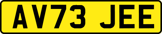 AV73JEE