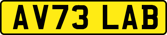 AV73LAB