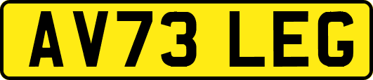 AV73LEG
