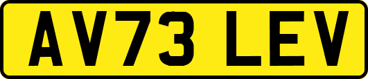 AV73LEV