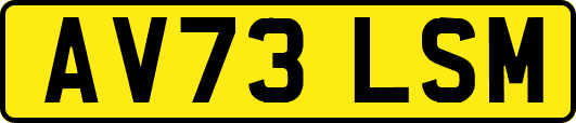 AV73LSM