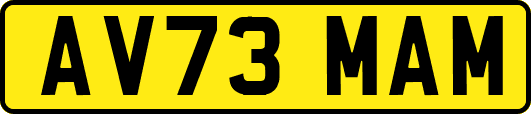 AV73MAM