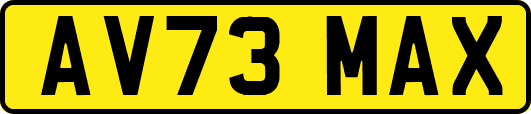 AV73MAX
