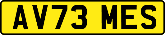 AV73MES