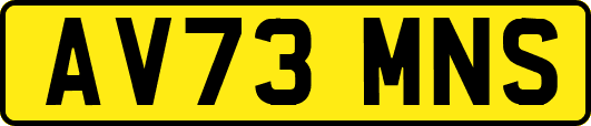 AV73MNS