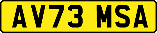 AV73MSA
