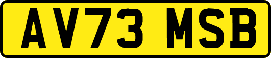 AV73MSB