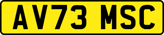 AV73MSC
