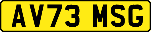 AV73MSG