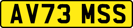 AV73MSS